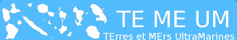 Logo TEMEUM